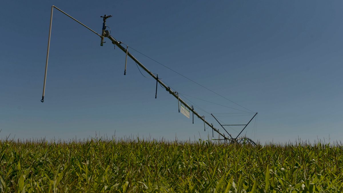 Un terreno de regadío en la provincia de León, donde hay más de 150.000 hectáreas de cultivos de este tipo. | MAURICIO PEÑA