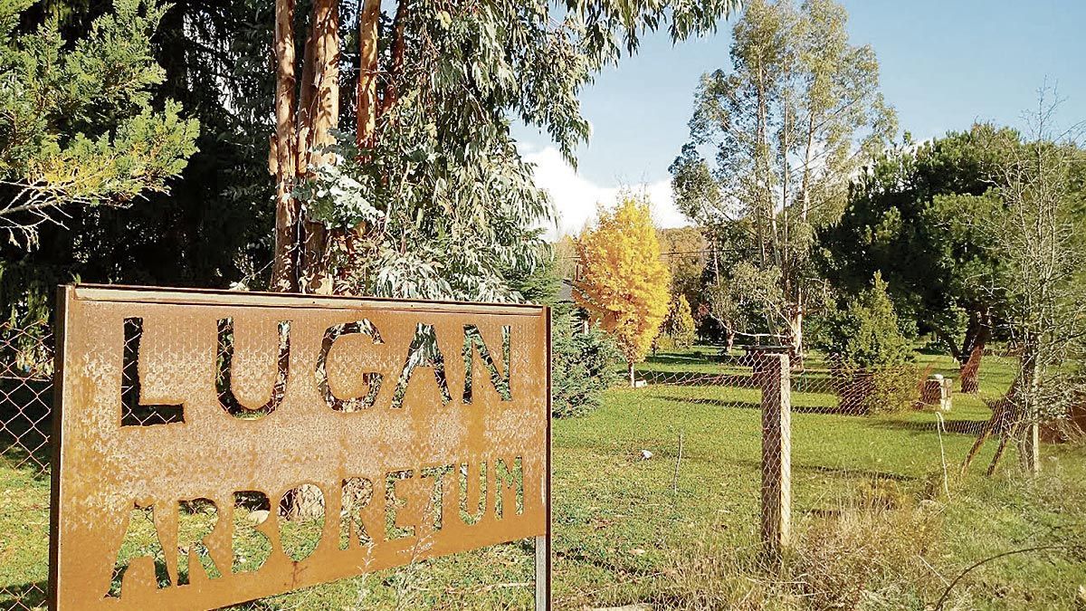 Imagen de la entrada al Arboretum de Lugán.