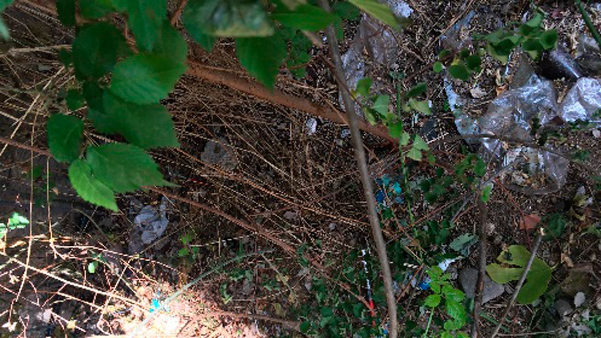 La calle está en mal estado, incluso aparecen jeringuillas en la maleza.