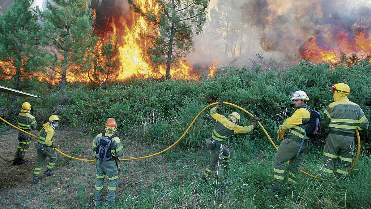 Trabajadores en un incendio el pasado verano. |Ical