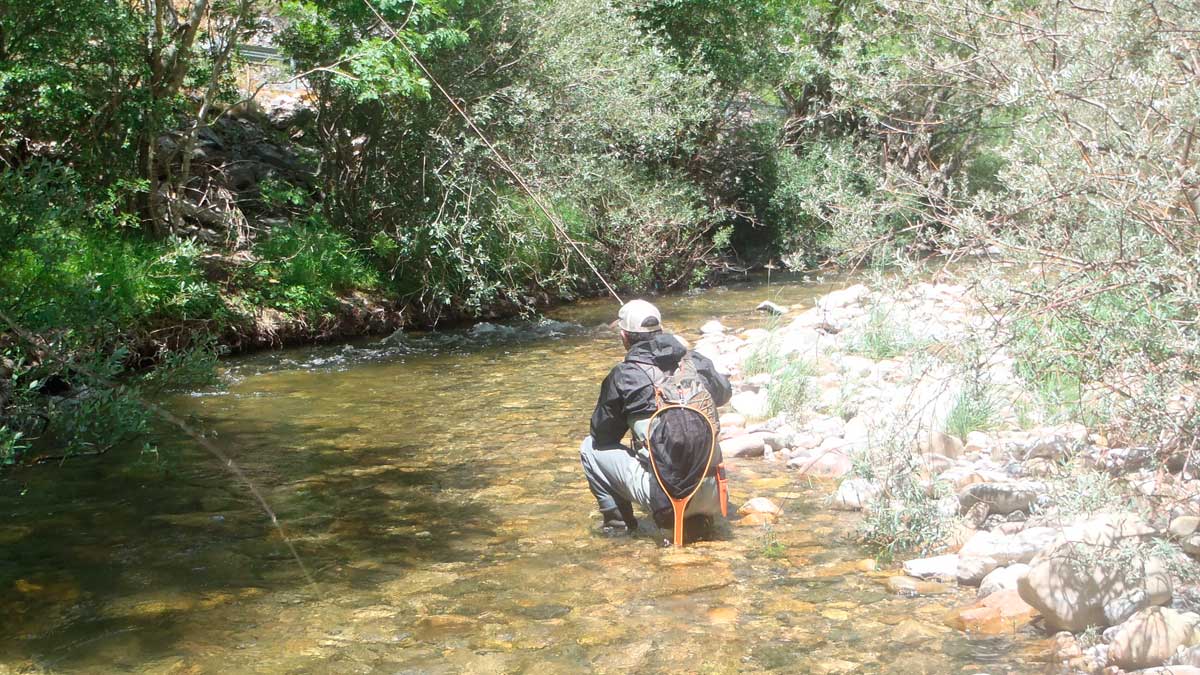 Pescando a mosca seca en el río Yuso. | R.P.N.