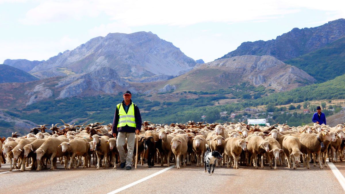 Las carreras de montaña siguen ganandoo adeptos. | JESÚS LINARES
