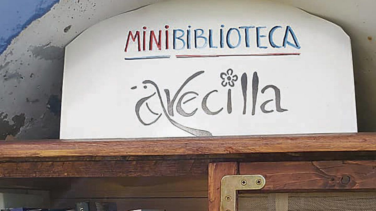 minibiblioteca-avecilla-472020.jpg