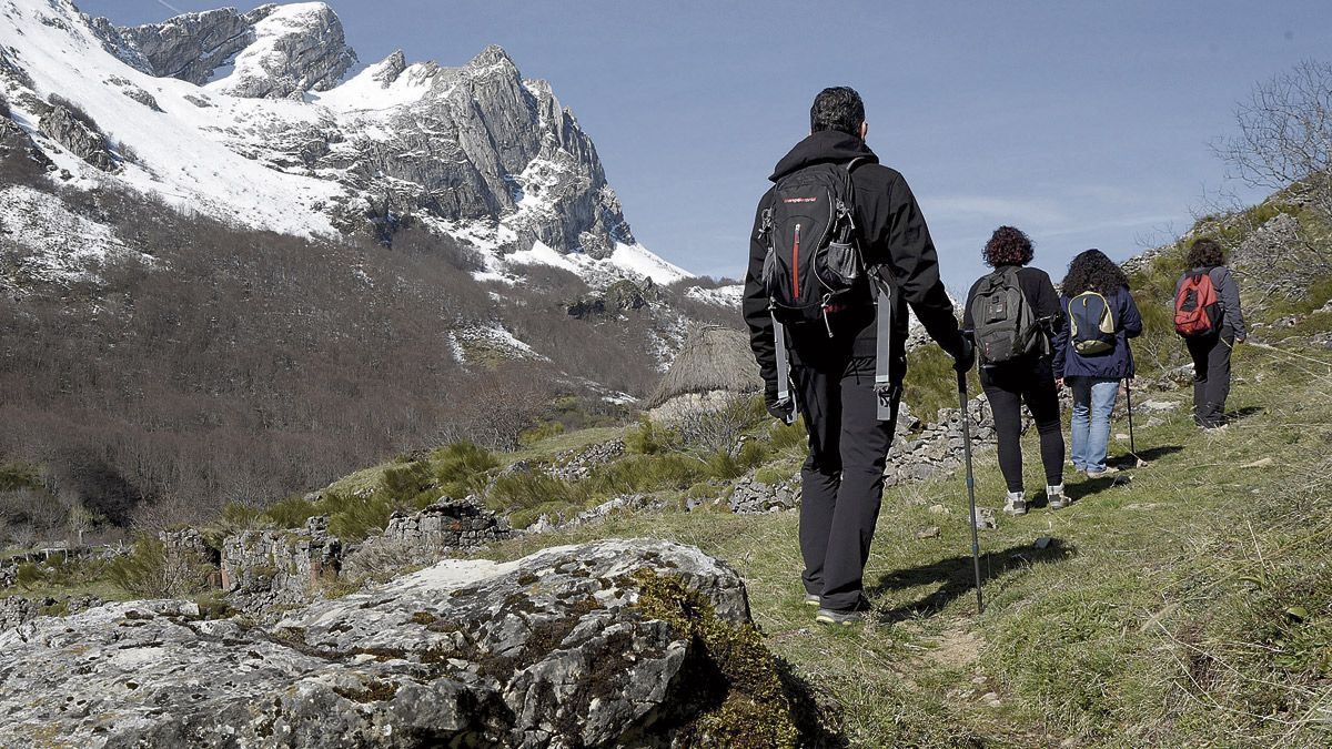 El objetivo es mantener la calidad ambiental de los territorios oseros. | FOP