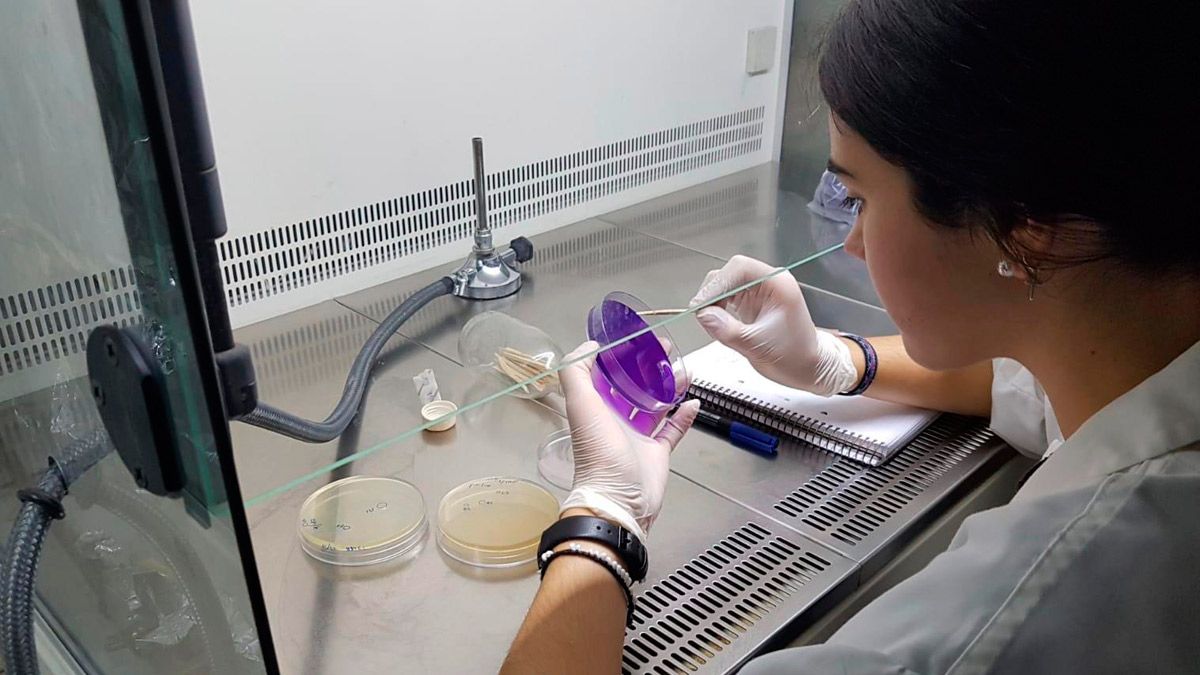 María Chinchetru trabajando en un laboratorio del Inbiotec. | L.N.C.