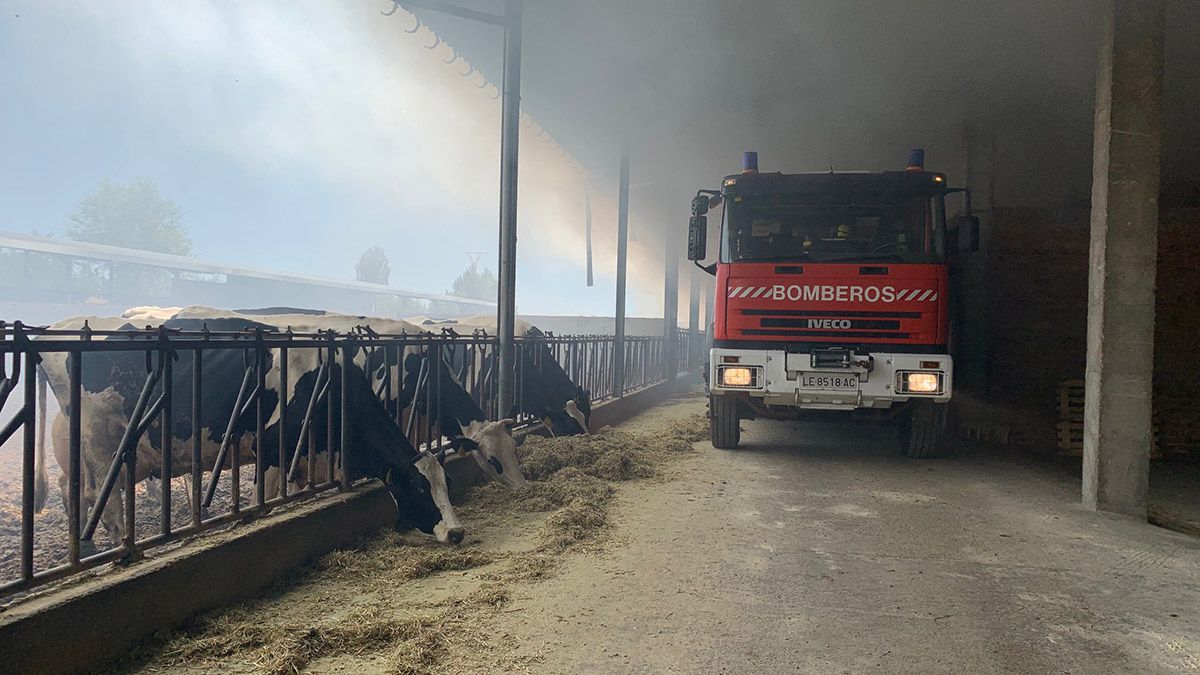 | BOMBEROS DEL AYUNTAMIENTO DE LEÓN