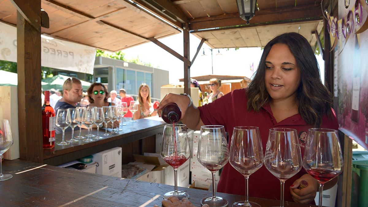 Una cita de la Feria del Vino de la DO León celebrada en el Jardín de los Patos. | MAURICIO PEÑA