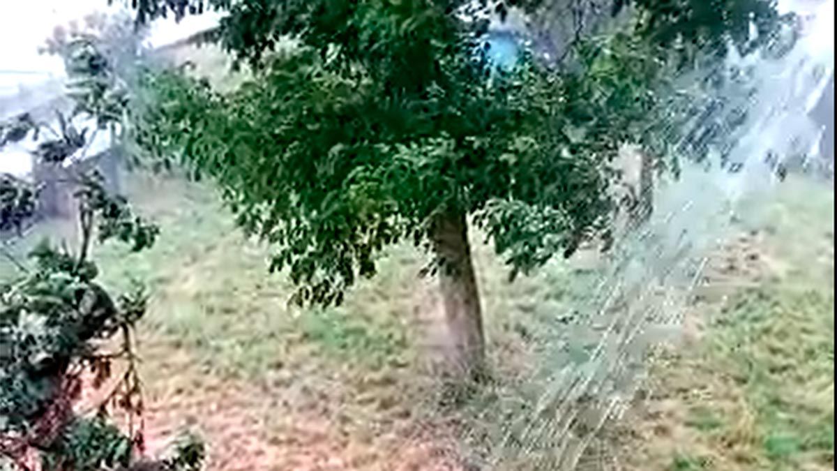 balboa-video-21720.jpg