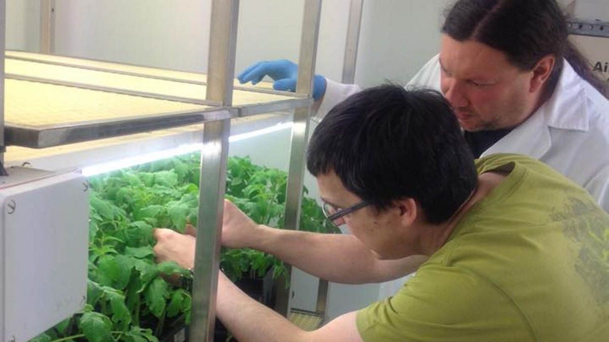 Santiago Gutiérrez y José Álvarez, en el laboratorio situado en el campus de Ponferrada. | ULE