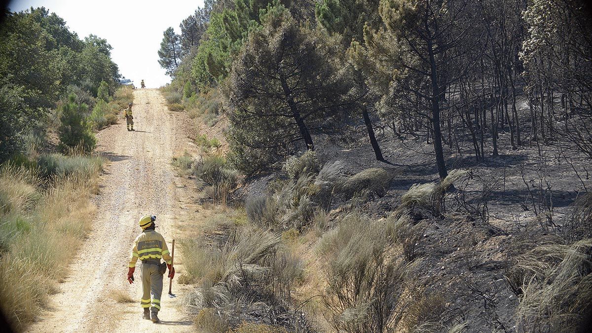 Los trabajos durante toda la jornada de este marets se centraron en enfriar las zonas en las que las llamas amagaban con volver a activarse. | MAURICIO PEÑA