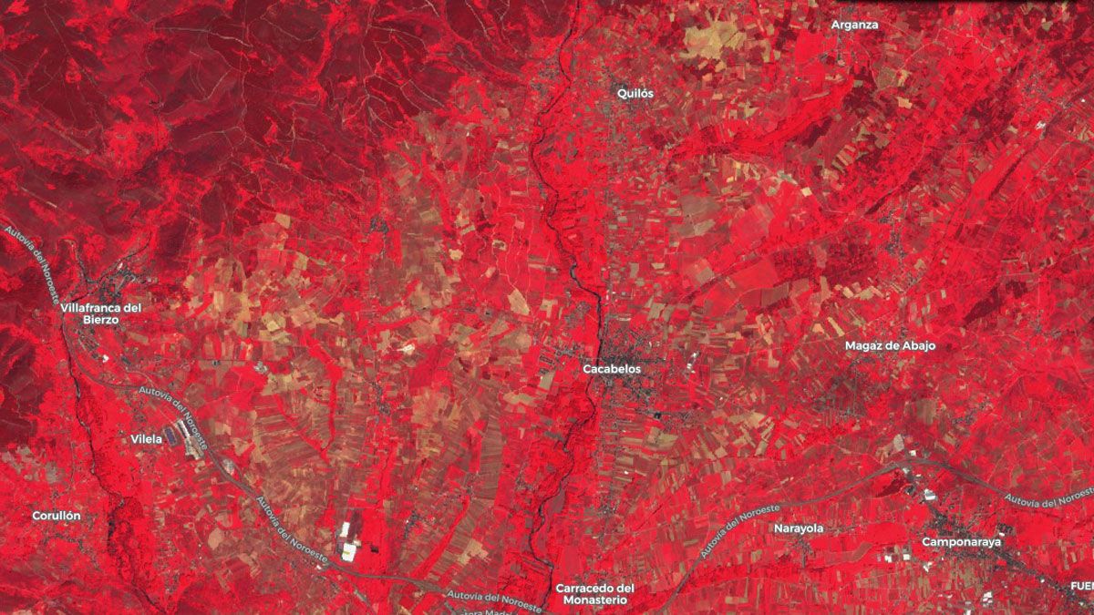 Imagen procesada del satélite Sentinel-2 en donde resalta la clorofila de las plantas en la comarca, ejemplo de la información que ofrecen  los satélites.