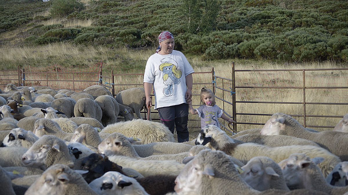 Vanesa de Prado en medio de su rebaño en la majada Tronisco y Nadaderos, de Cofiñal, a la que lleva subiendo dos años. | MAURICIO PEÑA