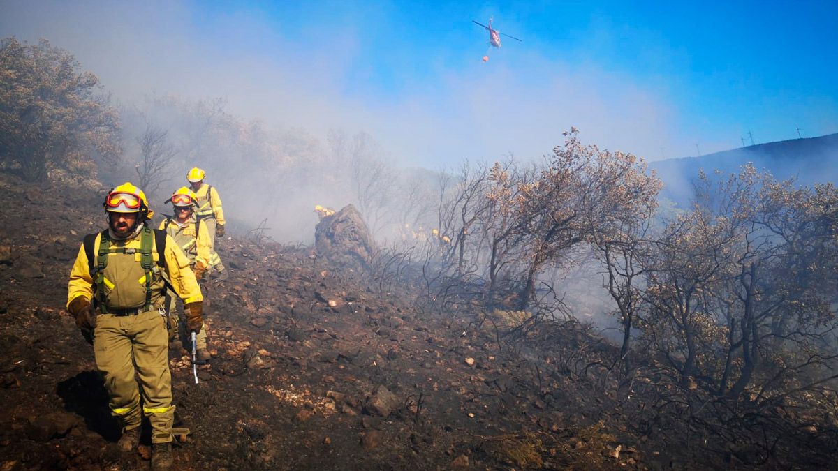 Operarios en las labores de extinción del fuego en Villagatón. | Brif Tabuyo
