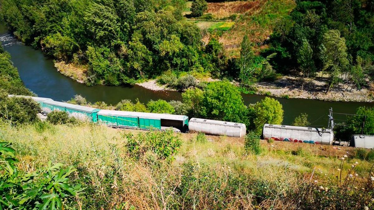 Los trenes descarrilaron en una zona de difícil acceso.