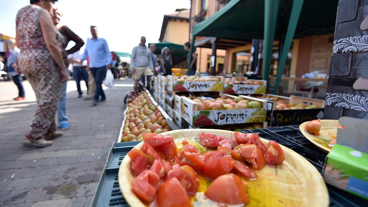 El tomate de Mansilla es uno de los manjares de la huerta leonesa. | SAÚL ARÉN