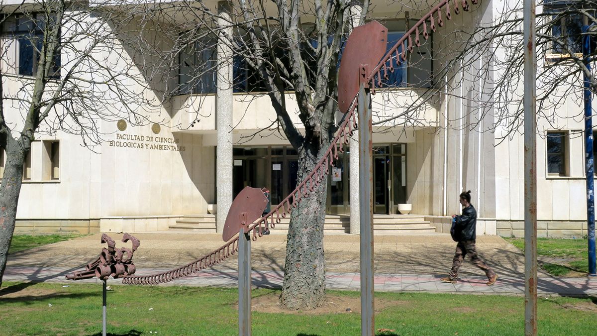 La Facultad de Ciencias Biológicas y Ambientales de la ULE fue uno de los centros pioneros del territorio nacional en impartir el Grado en Biotecnología. | L.N.C.