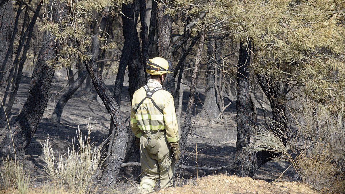 Un trabajador de la Brif en en incendio de Magaz de Cepeda. | MAURICIO PEÑA