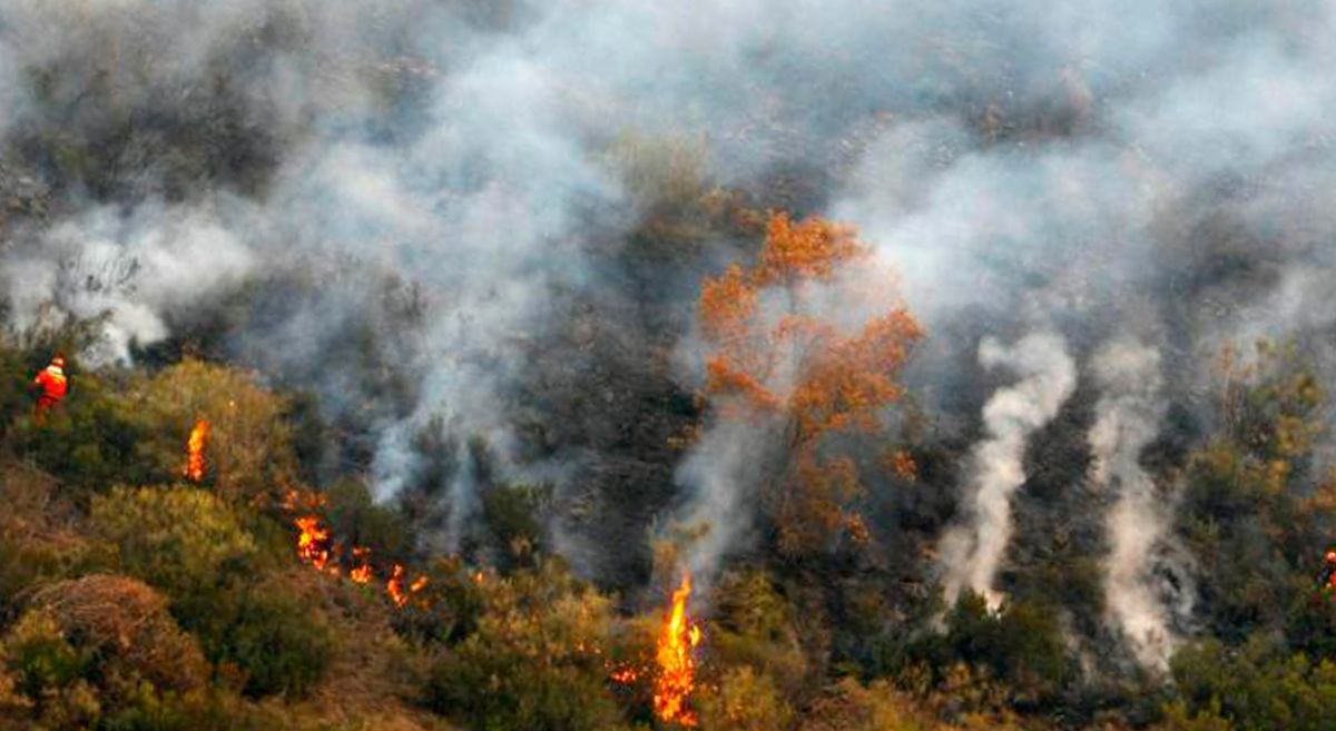 Uno de los incendios producido en el Bierzo. | ICAL