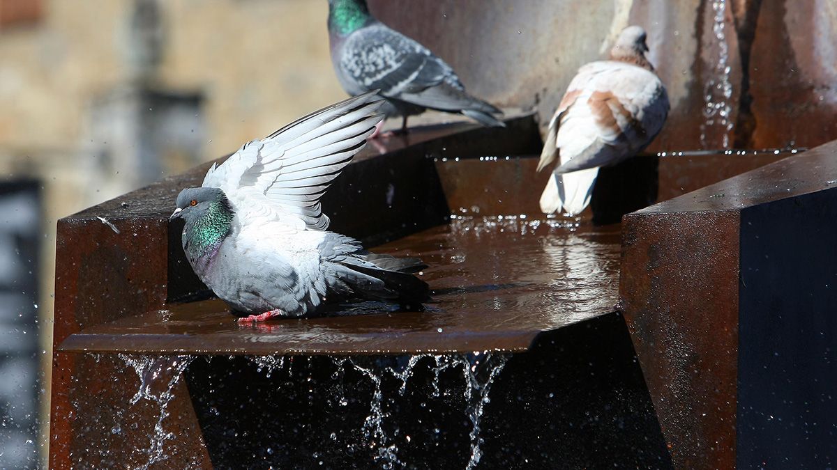 Imagen de archivo. | ICAL