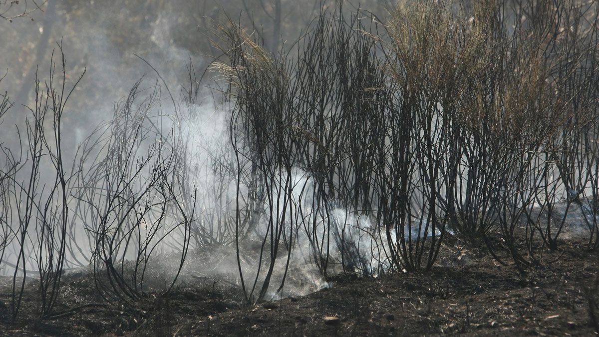 Imagen del incendio de San Andrés de Montejos, en Ponferrada. | CÉSAR SÁNCHEZ
