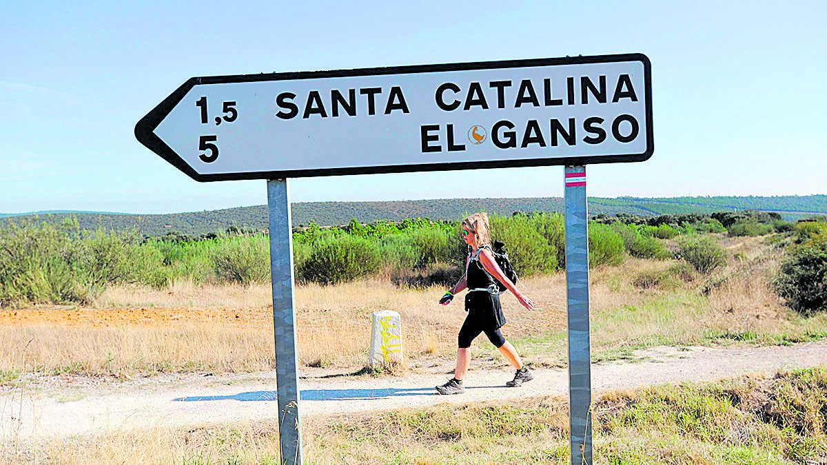 camino-astorga-03.09.20.jpg camino-astorga-03.09.20.jpg