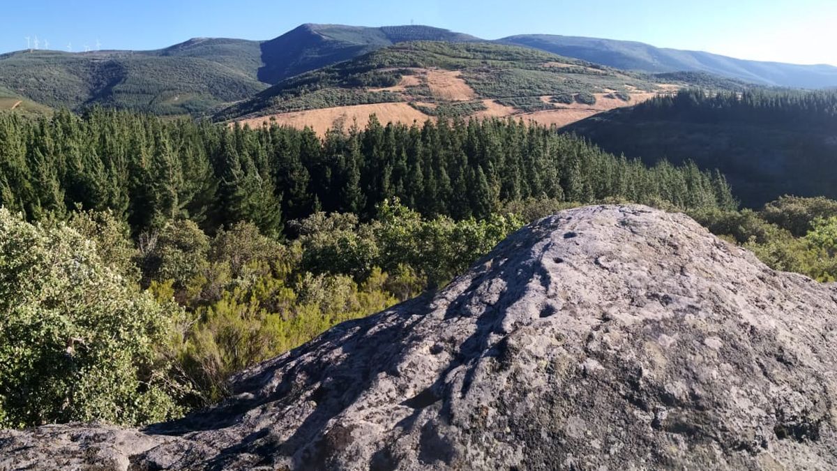 Imagen de una de las rocas donde se observan los surcos y cazoletas.