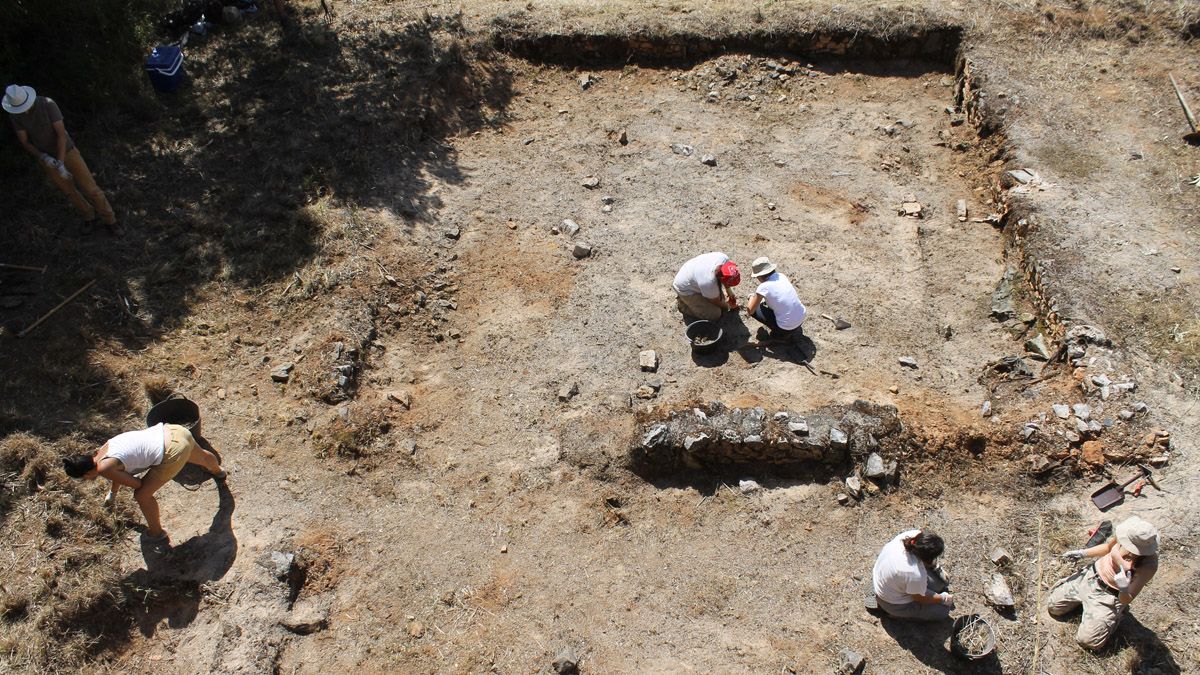 Participantes en el primer campo de trabajo, en el inicio de las labores de desbroce este lunes. | FLM