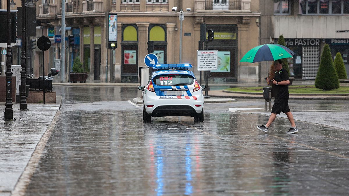lluvia-leon-14920.jpg lluvia-leon-14920.jpg