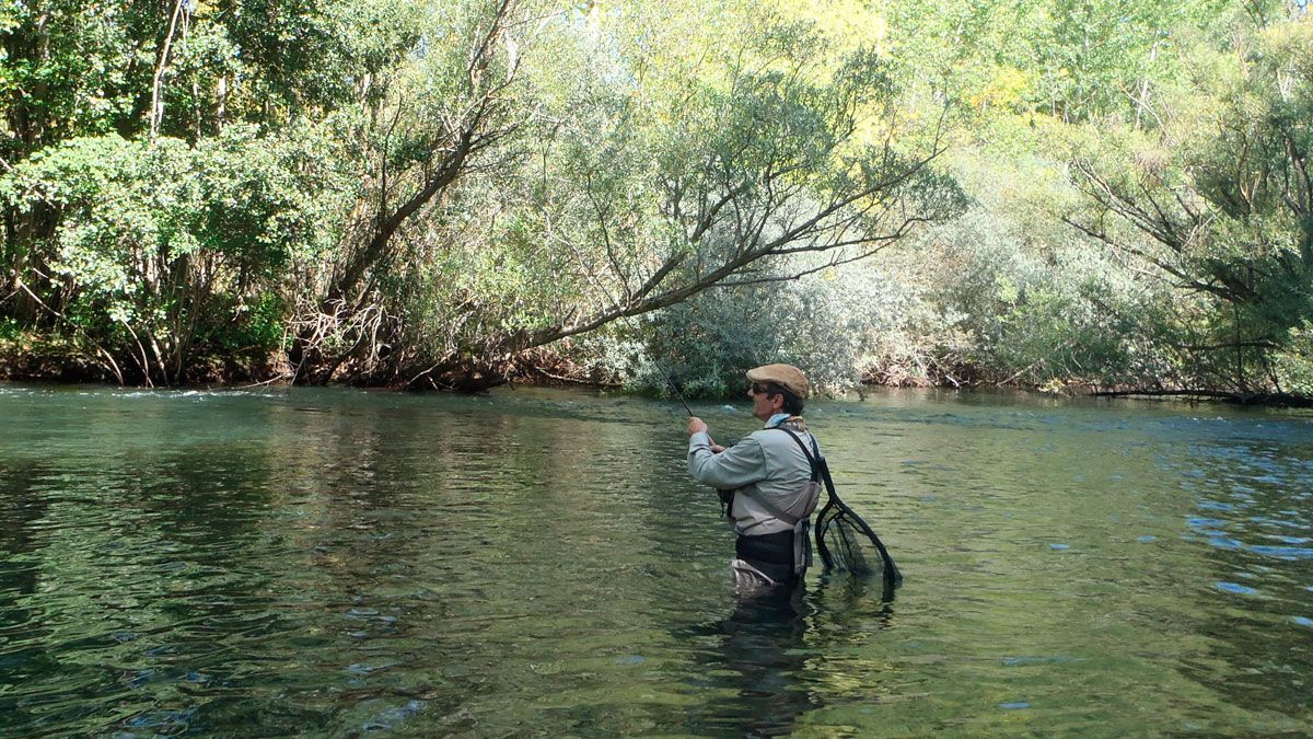 Un pescador disfruta del día en el coto Condado 1. | R.P.N.