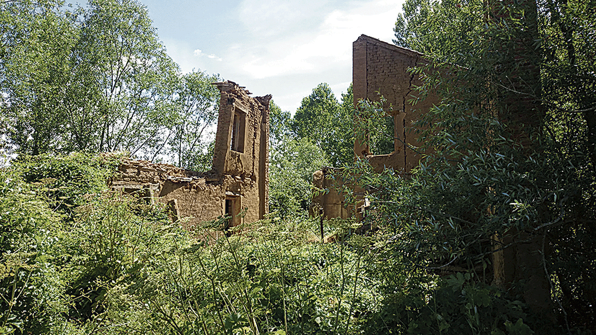 El molino de doña Concepción Arenal es uno de los incluidos en la Lista Roja del Patrimonio, la fotografía no deja lugar a dudas de  los motivos. | HIAPANIA NOSTRA