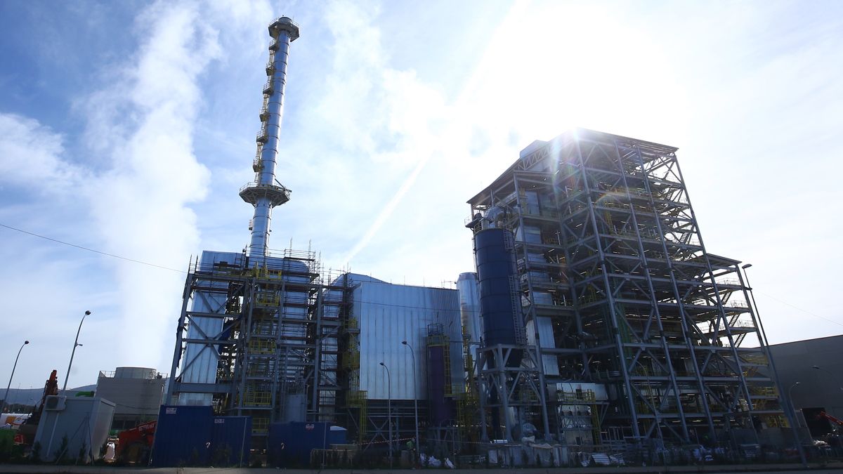 La planta de Forestalia en el polígono de El Bayo. | Ical