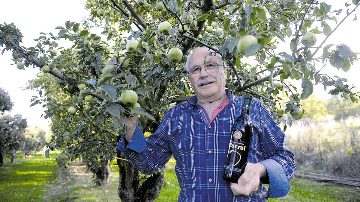 Herminio Carral Castro en su hábitat natural, rodeado de manzanas y manzanos, y con el fruto de ellos, la sidra leonesa Carral. | REPORTAJE GRÁFICO MAURICIO PEÑA