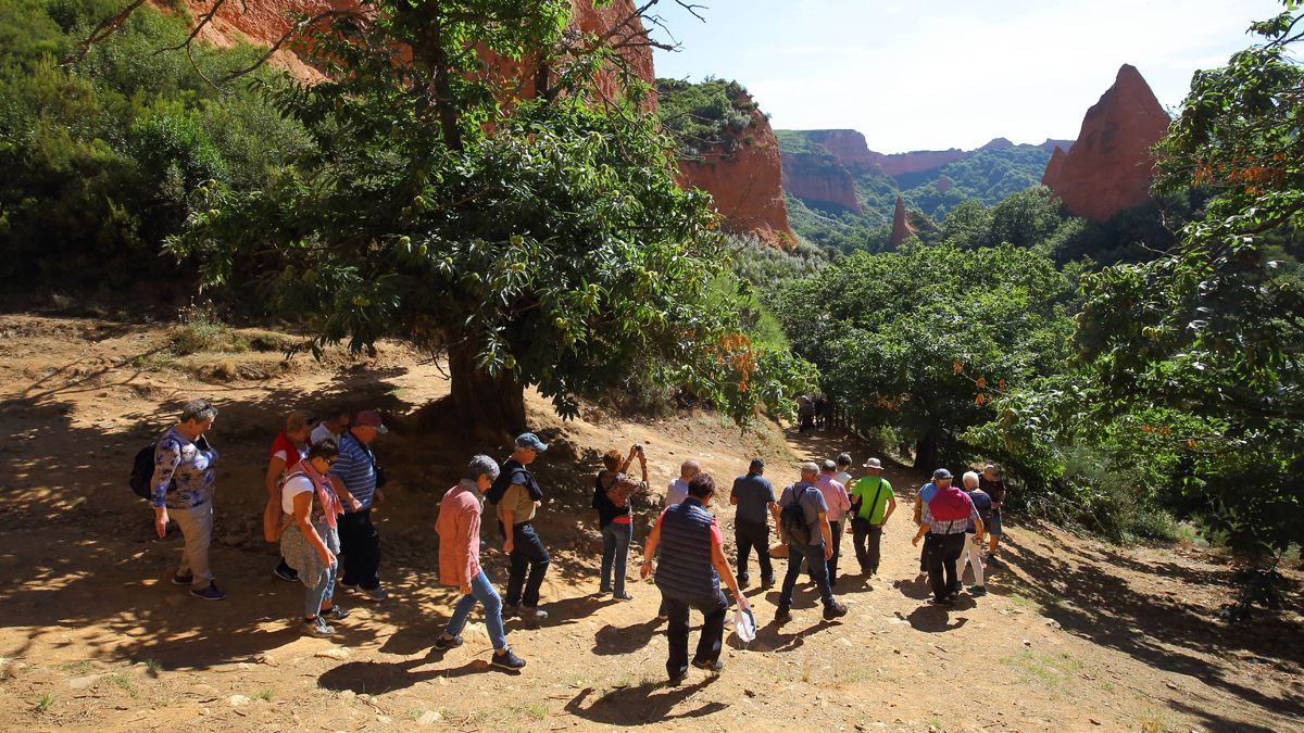 Imagen de archivo de visitantes en Las Médulas, con los castaños alrededor de la senda. | Ical