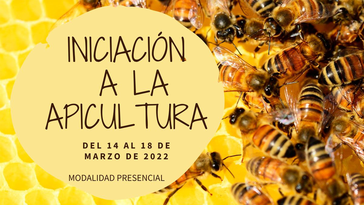 Cartel anunciador de la actividad de apicultura.