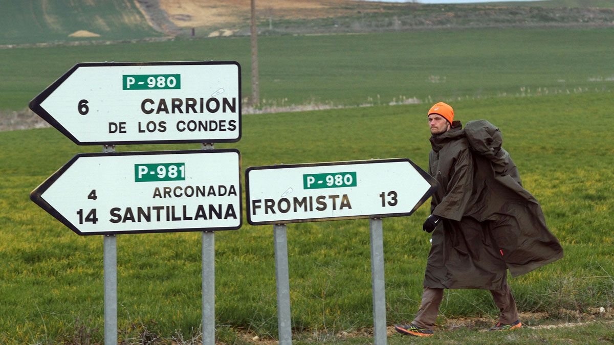 Imagen de archivo del Camino de Santiago francés a su paso por la provincia de Palencia. | ICAL