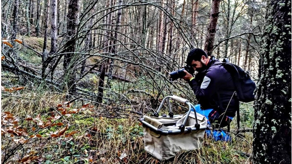 José María Escapa en plena faena de documentación y fotografía de las setas del Valle de Sabero.