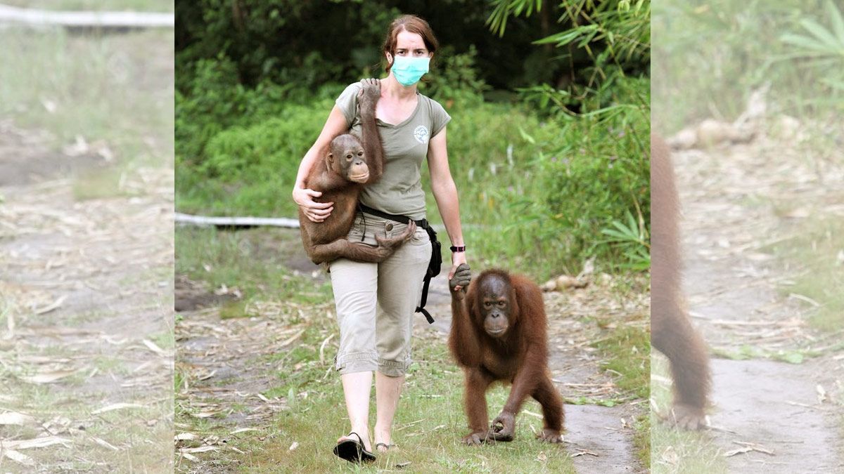 ule-orangutanes-281020.jpg