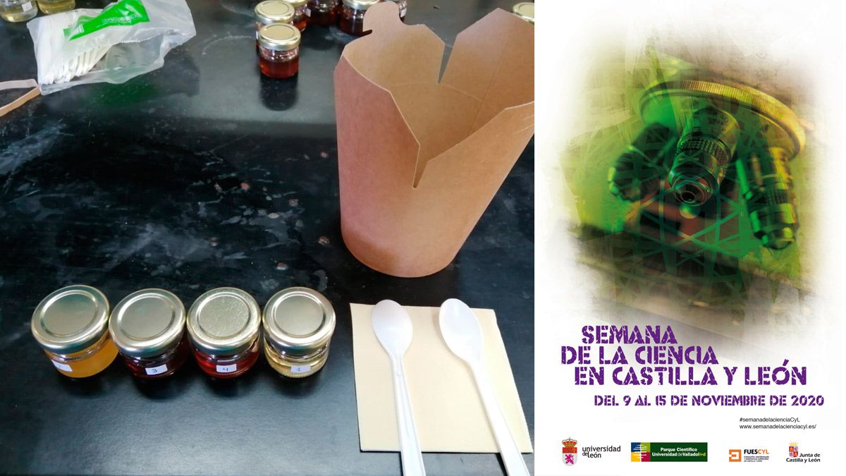Materiales para un taller sobre miel y cartel de la iniciativa. | L.N.C.