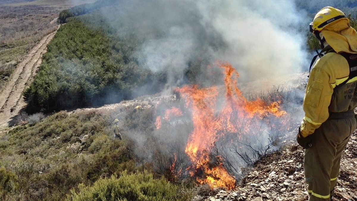 Tareas de control de fuego. | ULE