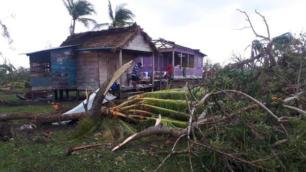 Una de las estampas de cómo el huracán Eta ha arrasado la zona en la que reside Julio Falagán. | L.N.C.