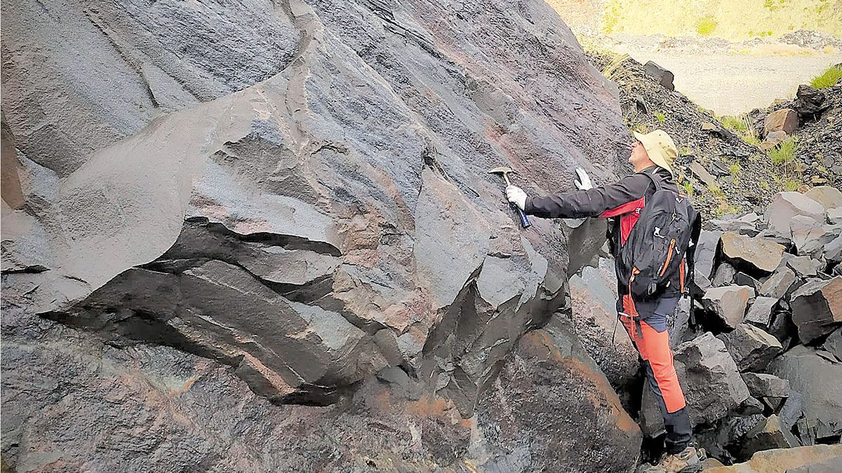 El aula paleobotánica estudia y expone fósiles de la mina de la Gran Corta y alrededores. | AULA PALEOBOTÁNICA