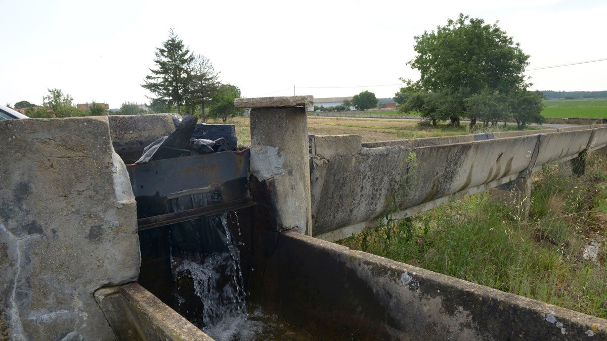 Los regadíos del Canal de Arriola esperan turno para la modernización. | MAURICIO PEÑA