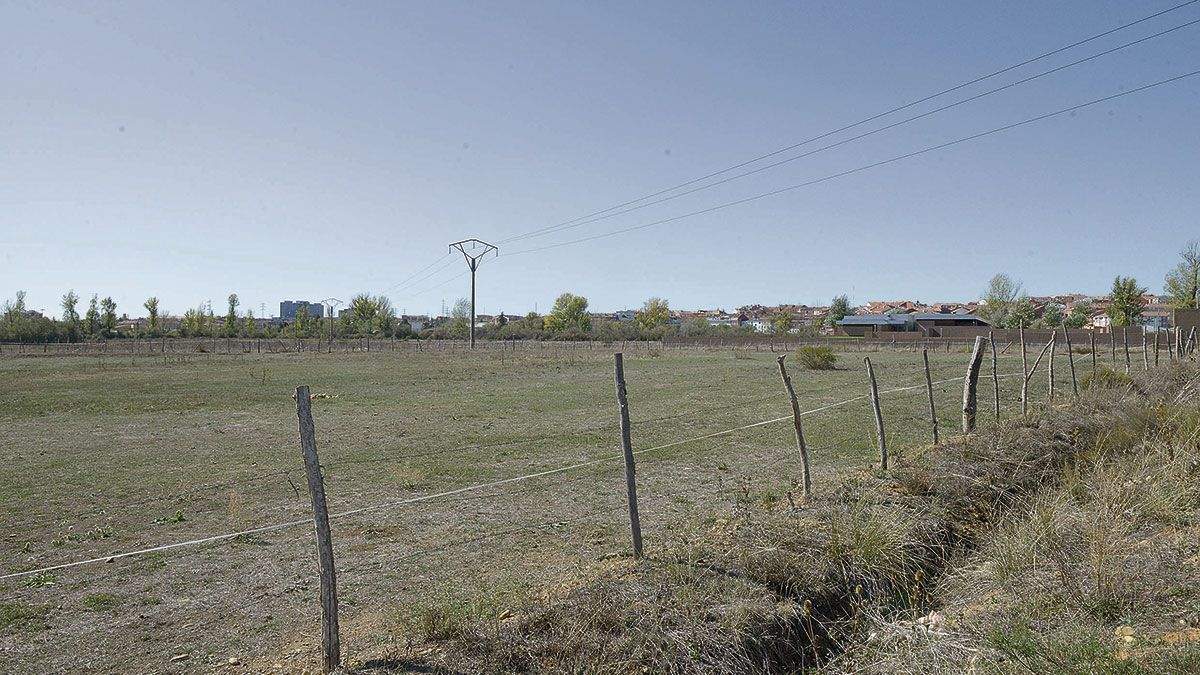 Imagen de los terrenos en los que se ubicarán el instituto y el centro de salud. | MAURICIO PEÑA