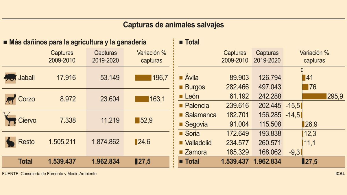 animales-salvajes-131220.jpg