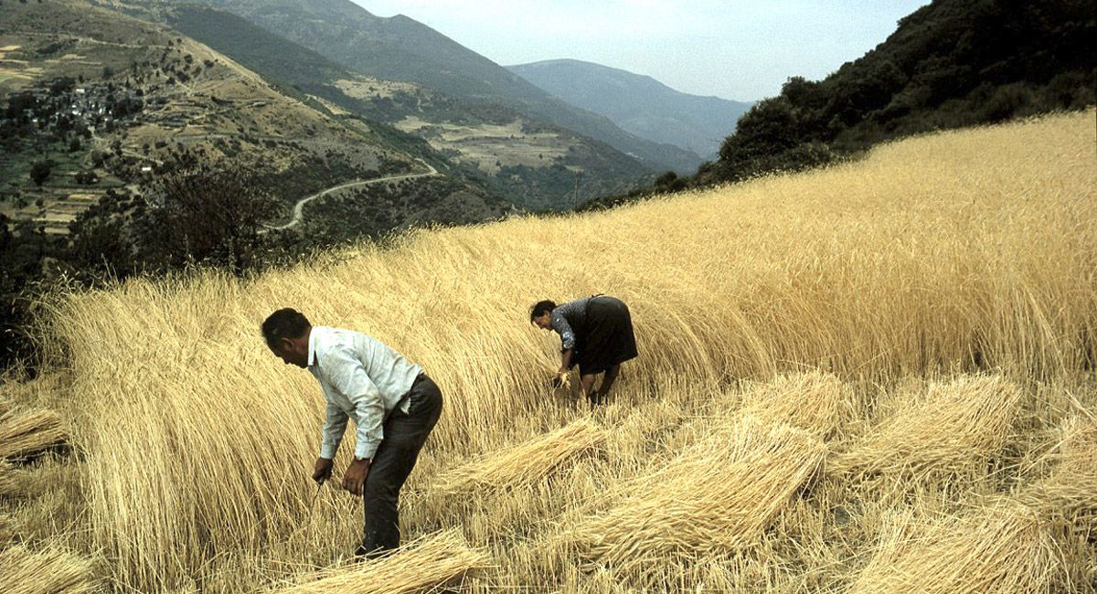 El documental ‘La Cabrera, los trabajos y los días’ se estrenó en la primera edición de Cinencinedo. | EL BÚHO VIAJERO El documental ‘La Cabrera, los trabajos y los días’ se estrenó en la primera edición de Cinencinedo. | EL BÚHO VIAJERO
