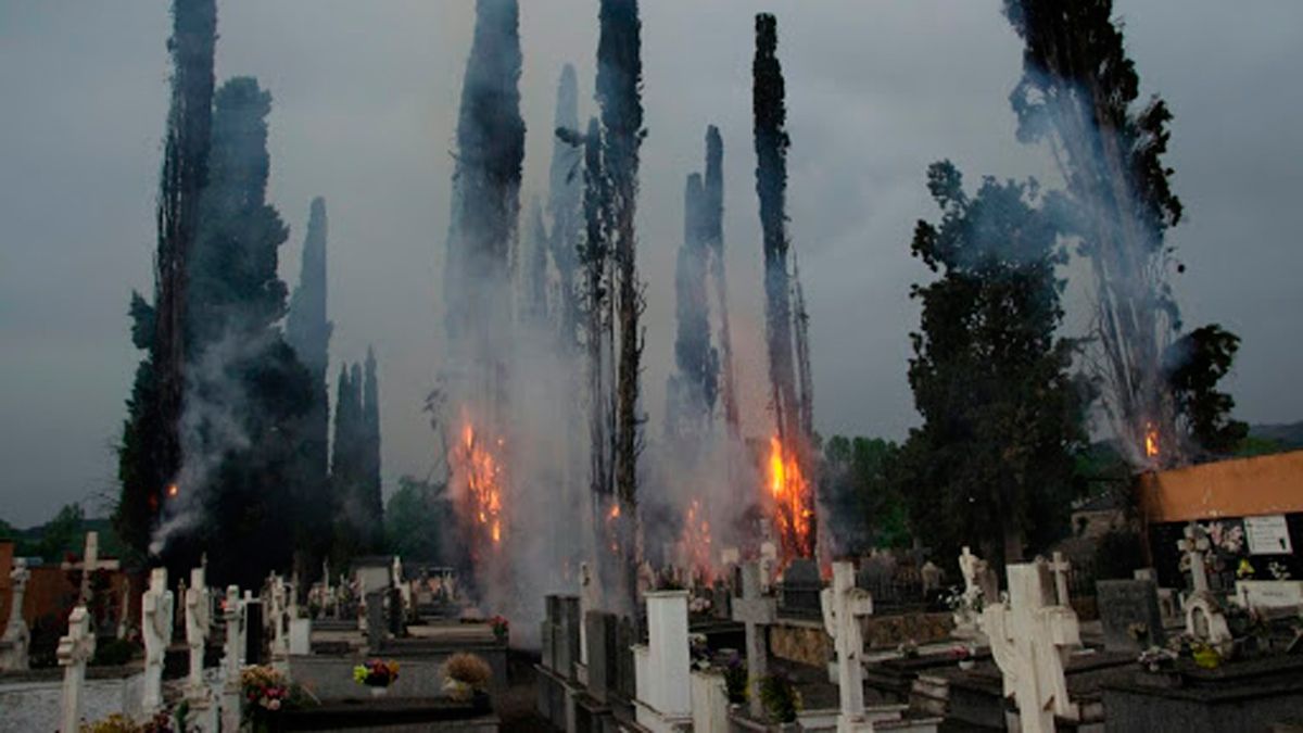 El incendio de 2017 provocado por un rayo acabó con parte de los monumentales ejemplares.