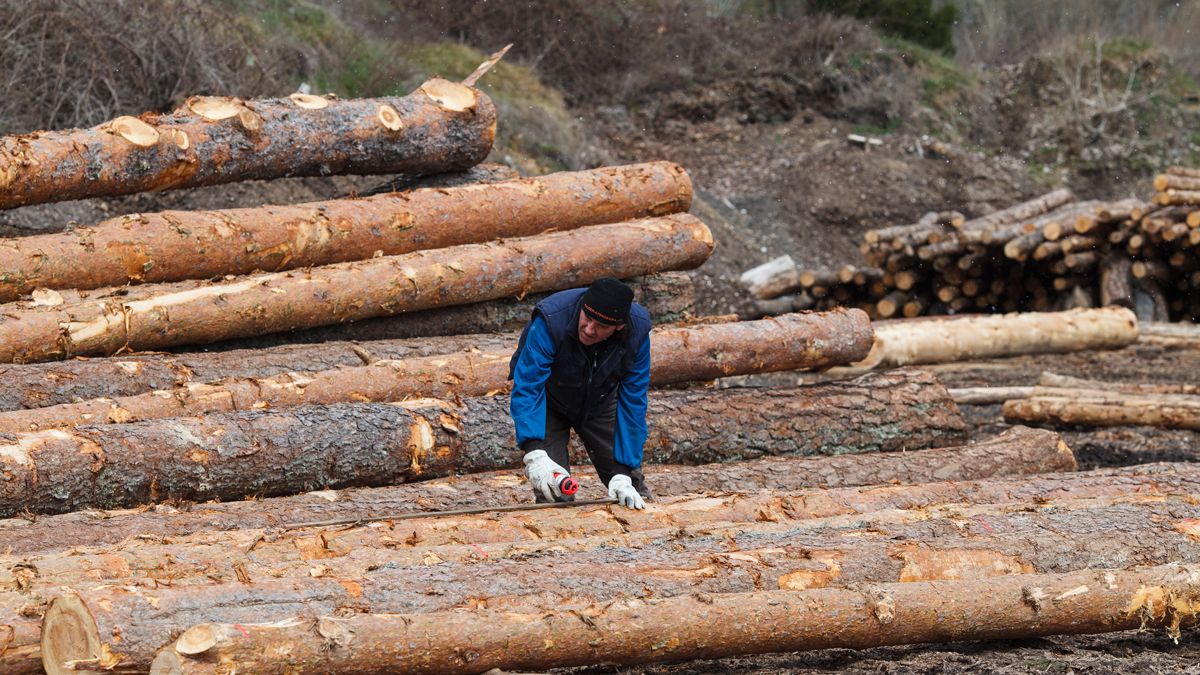 madera-forestal-09-10-2020-1.jpg