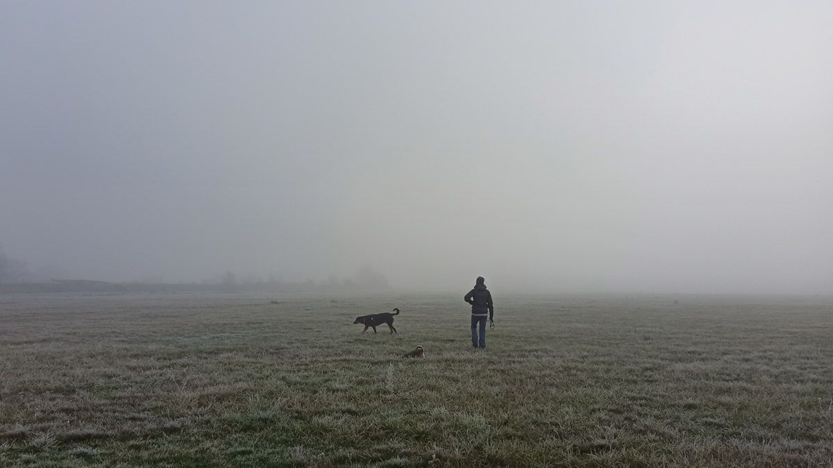 Niebla y heladas en el Bierzo para comenzar este día de Navidad. | ICAL