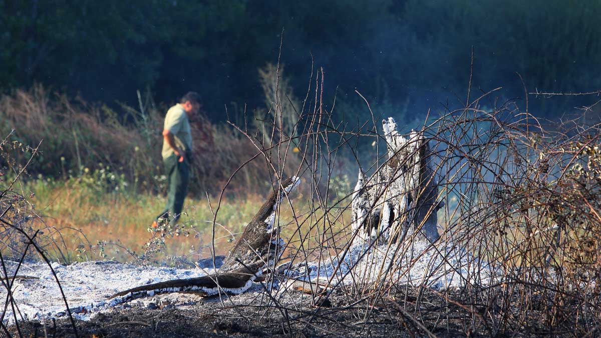 La Brigada de Refuerzo en Incendios Forestales (Brif) con sede en Tabuyo del Monte se manifiesta por las calles de León. | ICAL