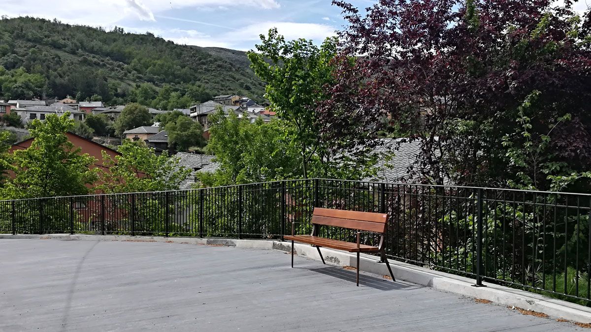 Una de las imágenes del árbol de Villar, donde se realizarán las fotos.